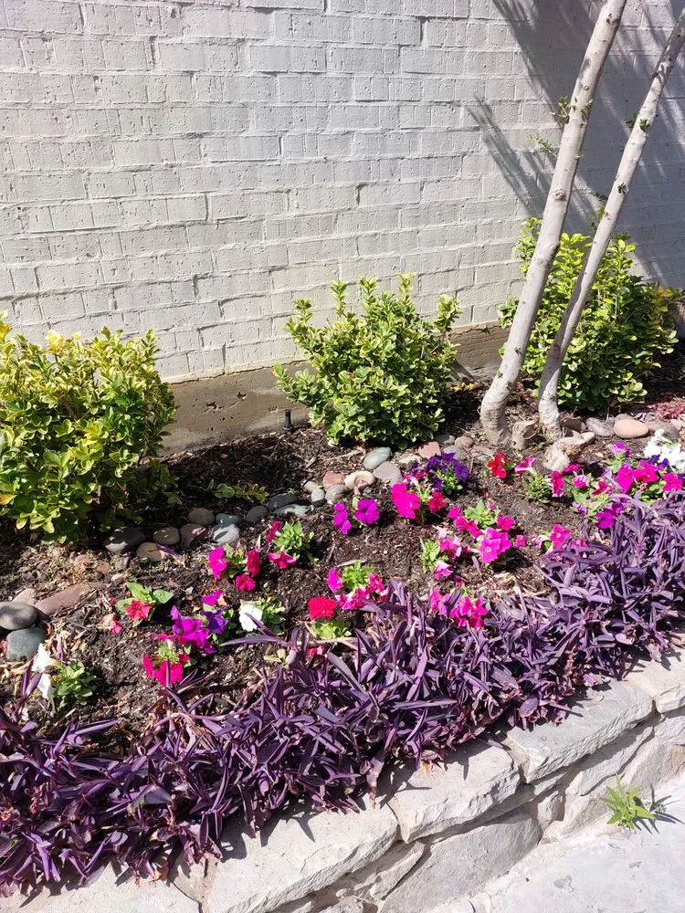 Professional yard cleanup service in Cedar Hill, TX by Skinners Lawn Care Management