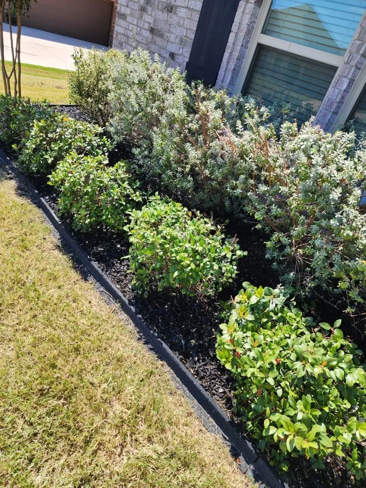 Affordable lawn care service in Mansfield, TX by Skinners Lawn Management