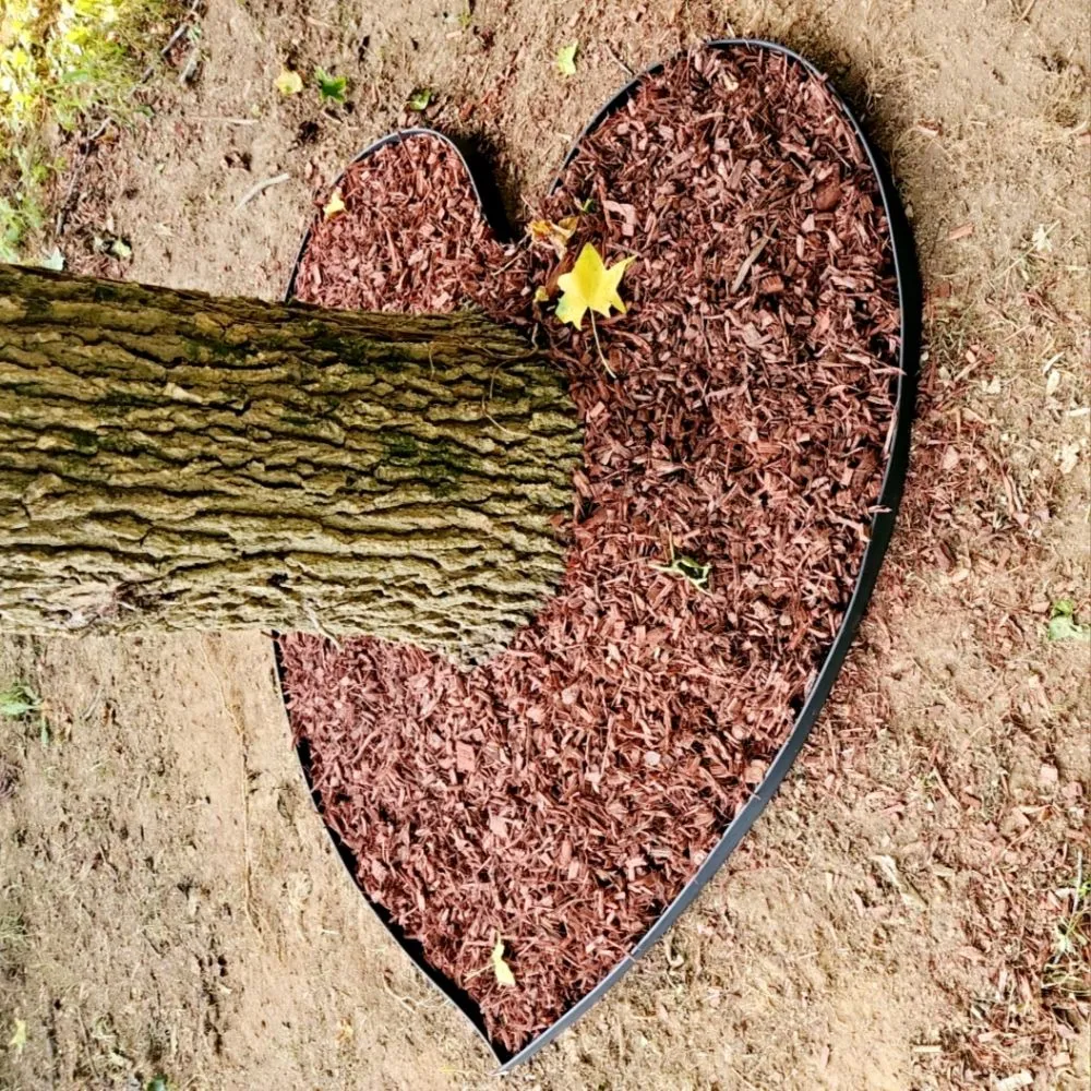 Affordable landscaping services with custom design across Cartersville, GA - Skinny Scapes