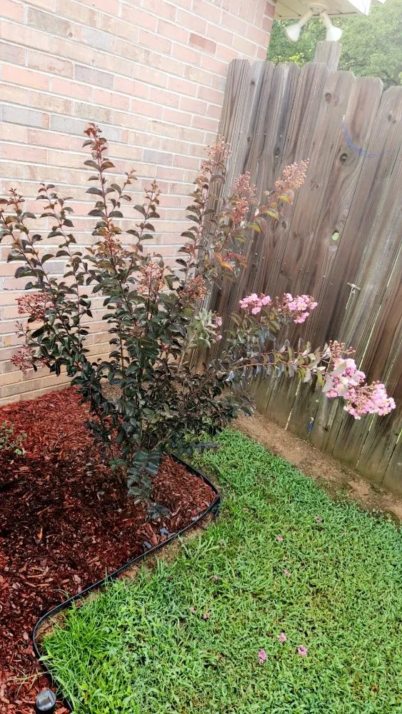 Reliable garden landscaping in Cartersville, GA - Skinny Scapes