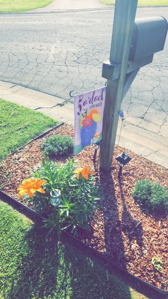 Affordable yard cleanup service in Cartersville, GA by Skinny Scapes