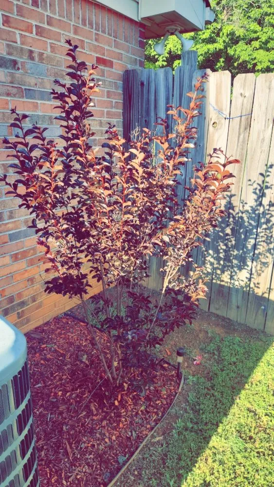 Top-rated landscaping services experts serving Cartersville, GA - Skinny Scapes