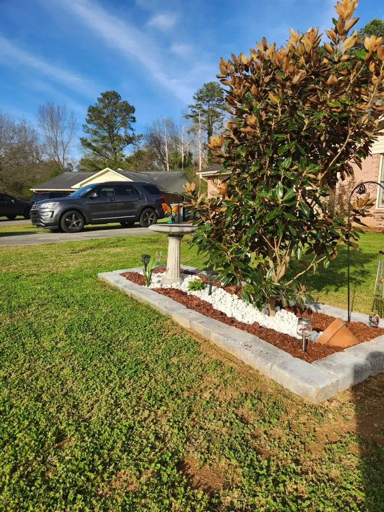 Professional lawn care service in Cartersville, GA by Skinny Scapes