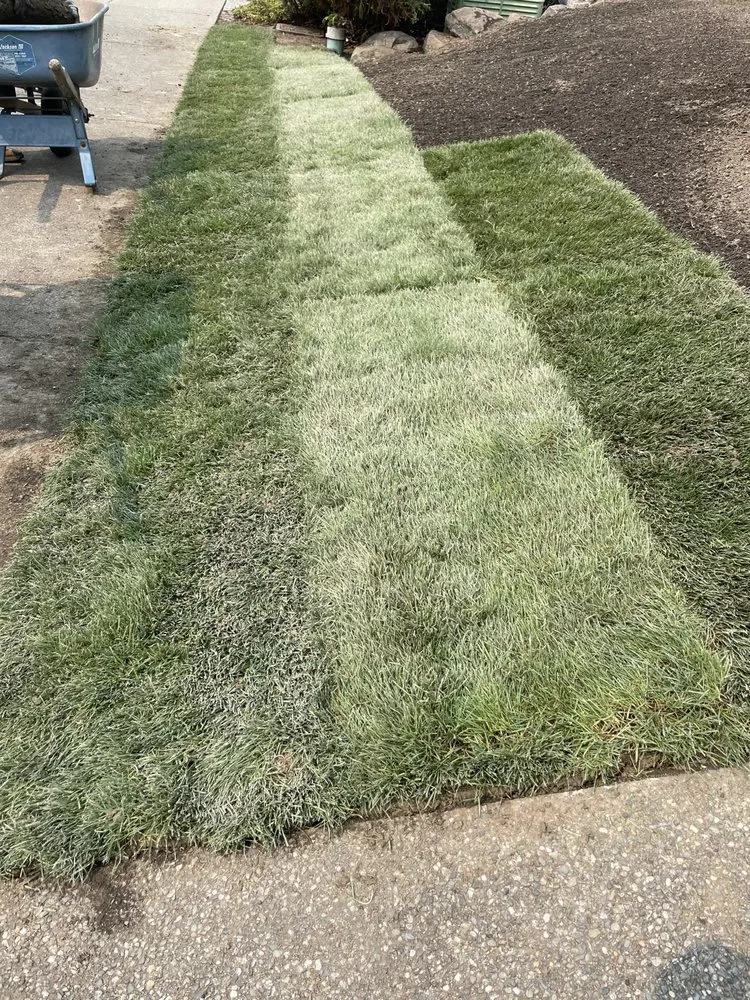 Reliable lawn mowing service experts serving Lynnwood, WA - Skinny’s Landscaping & Construction