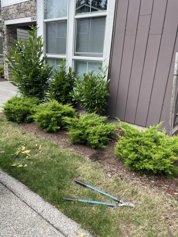 Top-rated residential landscaping in Lynnwood, WA - Skinny’s Landscaping & Construction