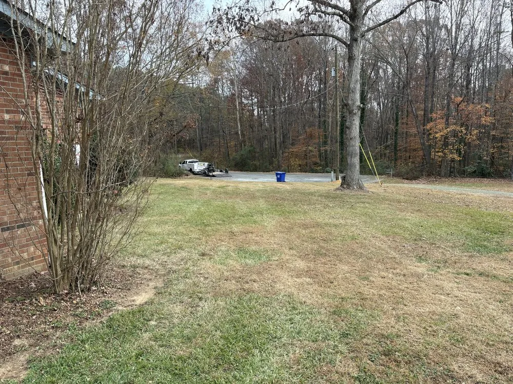 Affordable yard cleanup service in Trinity, NC by Skipper Tree & Land Management