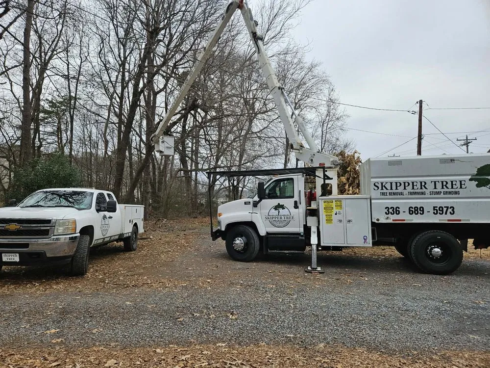 Professional yard cleanup service in Trinity, NC by Skipper Tree & Land Management