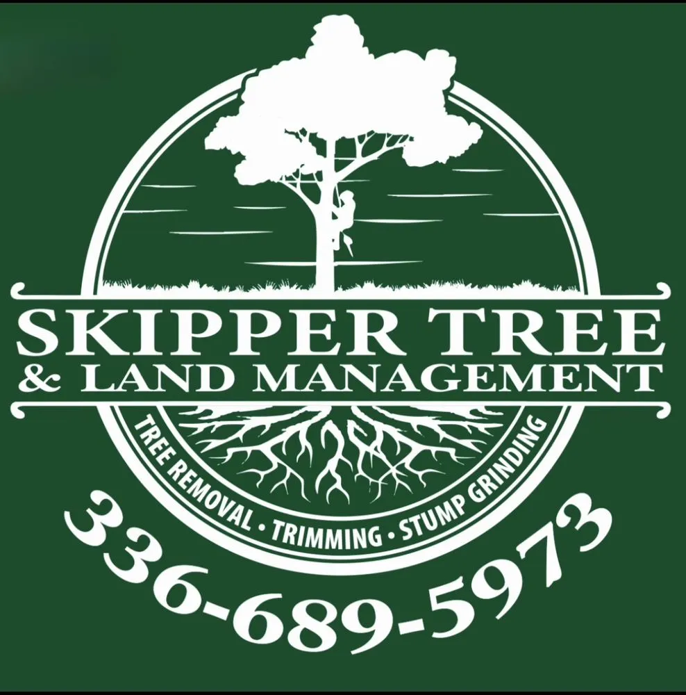 Reliable yard maintenance experts serving Trinity, NC - Skipper Tree & Land Management