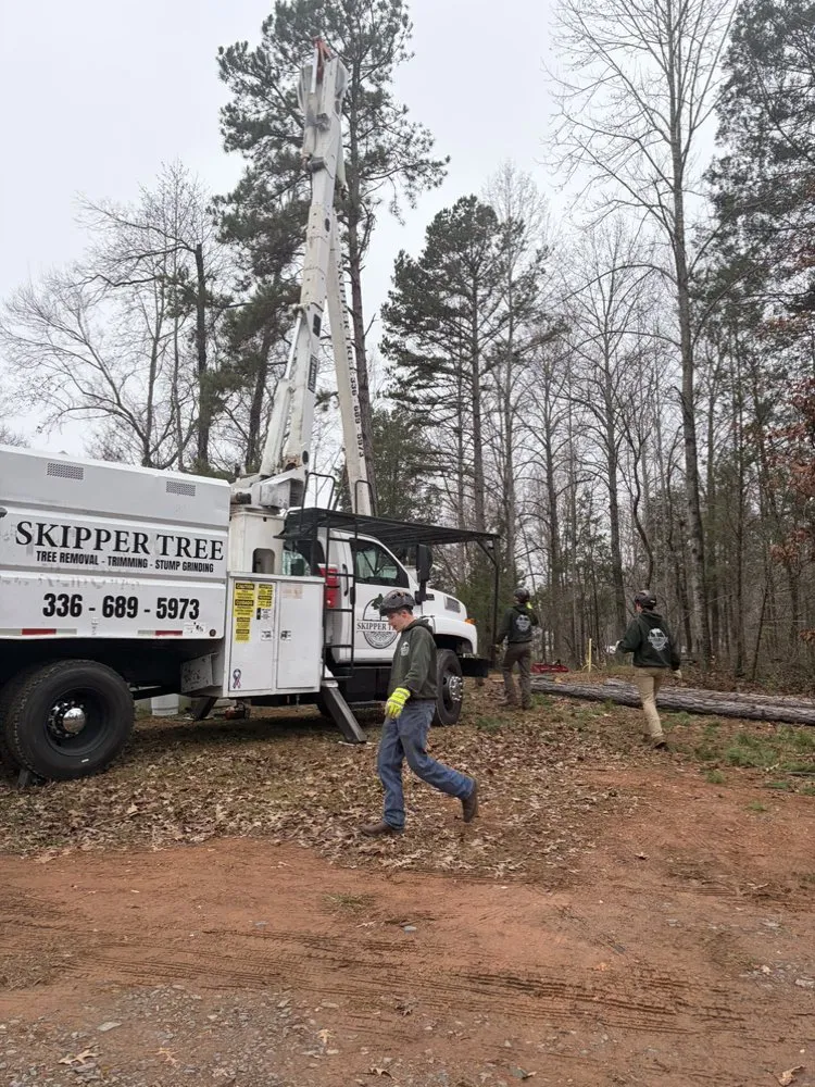 Trusted outdoor landscaping experts serving Trinity, NC - Skipper Tree & Land Management