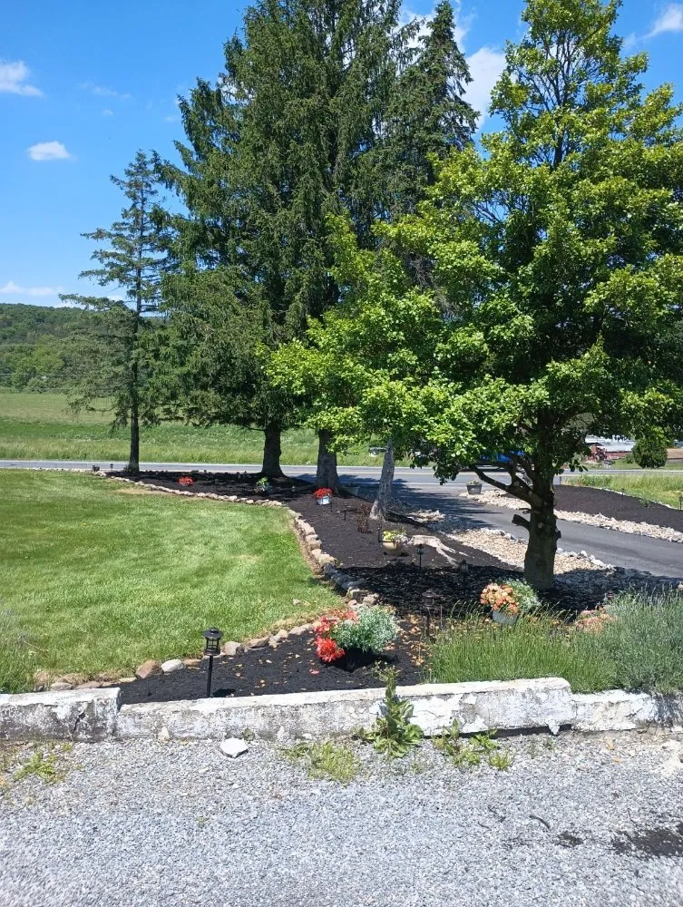 Top-rated lawn care service experts serving Philipsburg, PA - Skippies Handyman Business