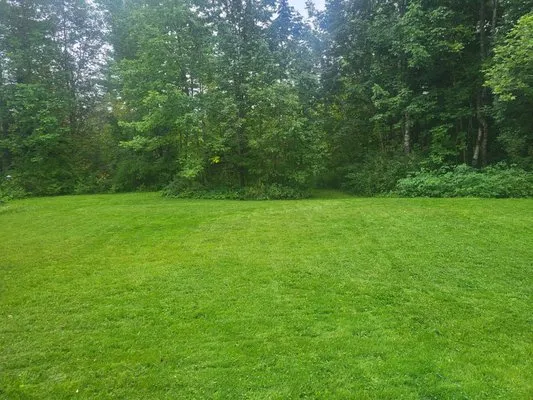 Skippies Lawn Care