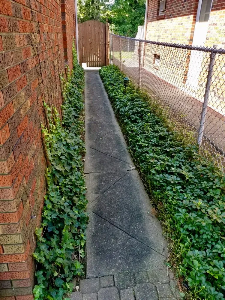 Expert yard cleanup service in Monroe Township, NJ by Skippy’s Landscape & Design