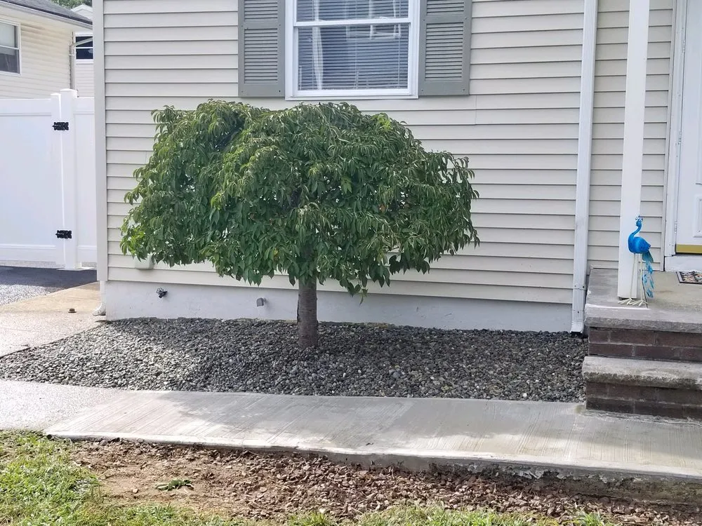 Affordable lawn care service in Monroe Township, NJ - Skippy’s Landscape & Design