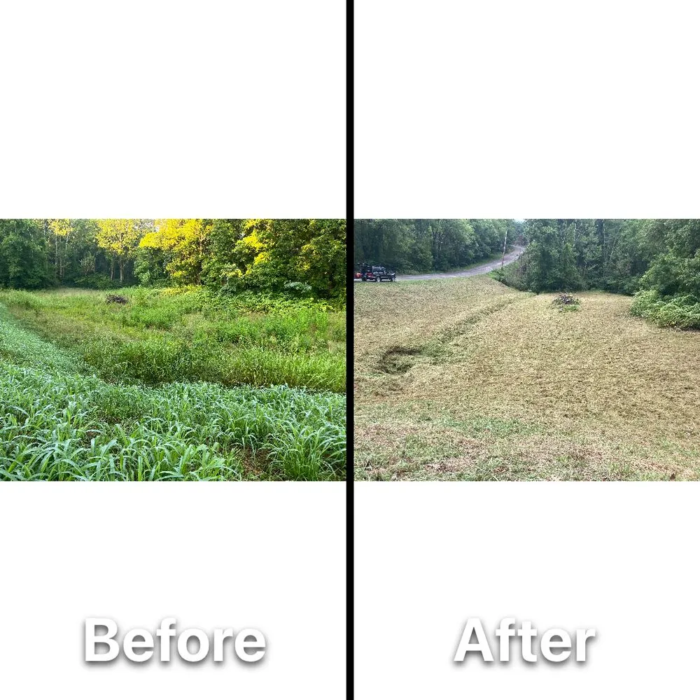 Affordable outdoor landscaping in Montvale, VA - Skippys Lawn Care