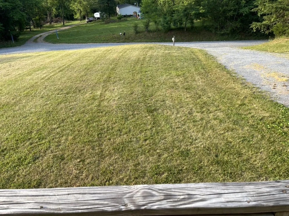 Top-rated landscaping services near you in Montvale, VA by Skippys Lawn Care