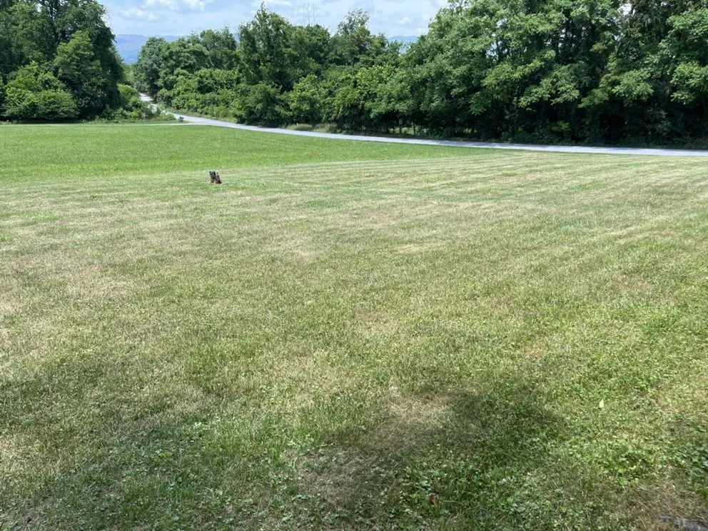 Reliable lawn mowing service in Montvale, VA - Skippys Lawn Care