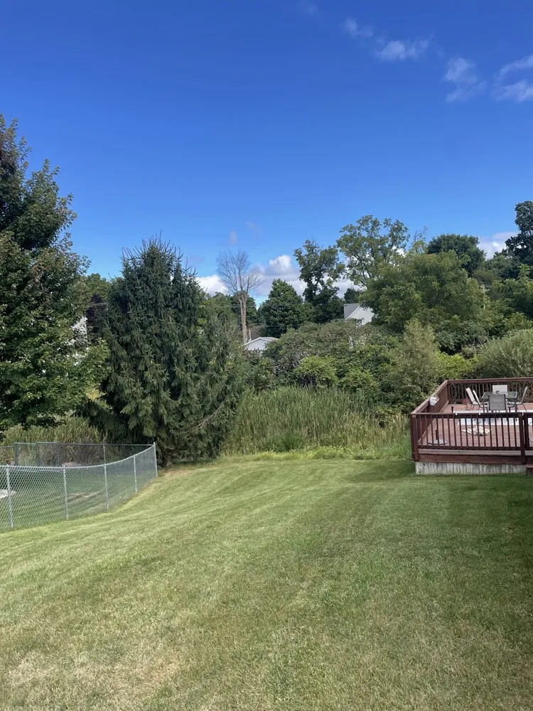 Expert outdoor landscaping for homes across Grandville, MI - Skips Landscaping