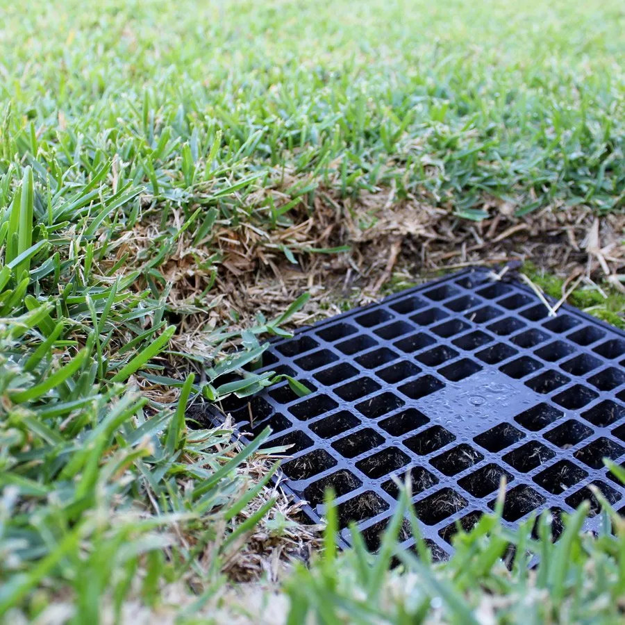 Top-rated landscaping services for year-round maintenance in Canonsburg, PA by Ski's Landscaping