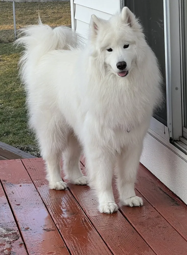 Reliable garden landscaping with custom design across Muskegon, MI - Ski’s Seasonal Services