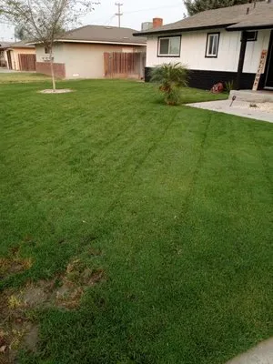 Skittts Yard Detail Logo