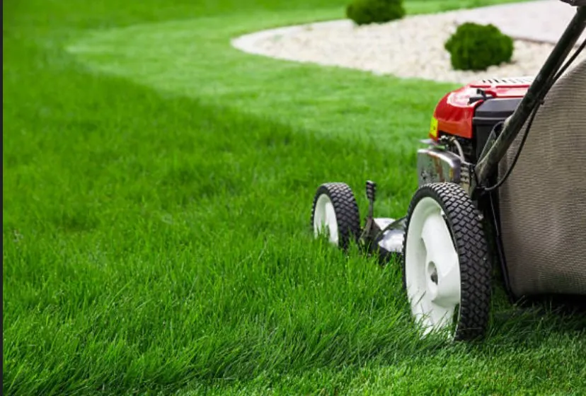 Local outdoor landscaping for residential properties in Sapulpa, OK by SKM Lawn Company Service