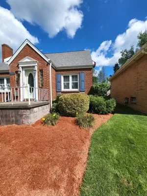 Skovranko Yards N' At