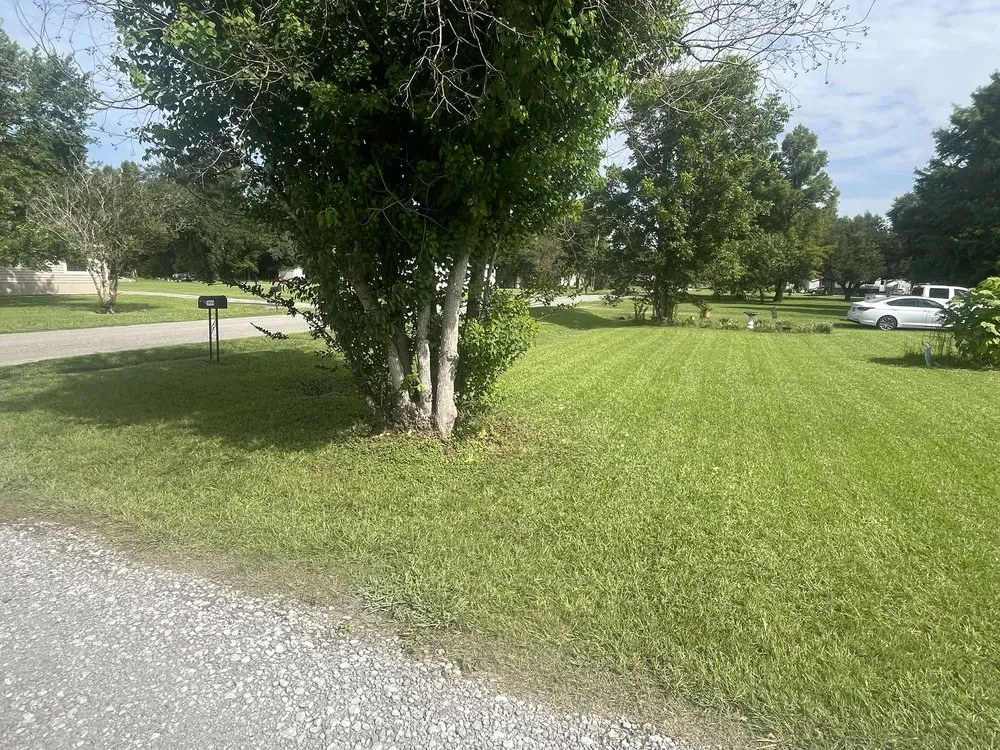 Expert landscaping services experts serving New Iberia, LA - Sky High Care