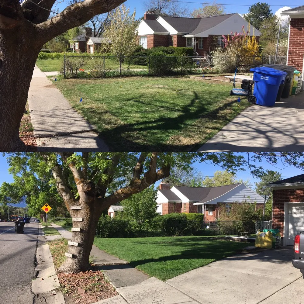 Top-rated yard cleanup service in Salt Lake City, UT - Sky High Landscaping