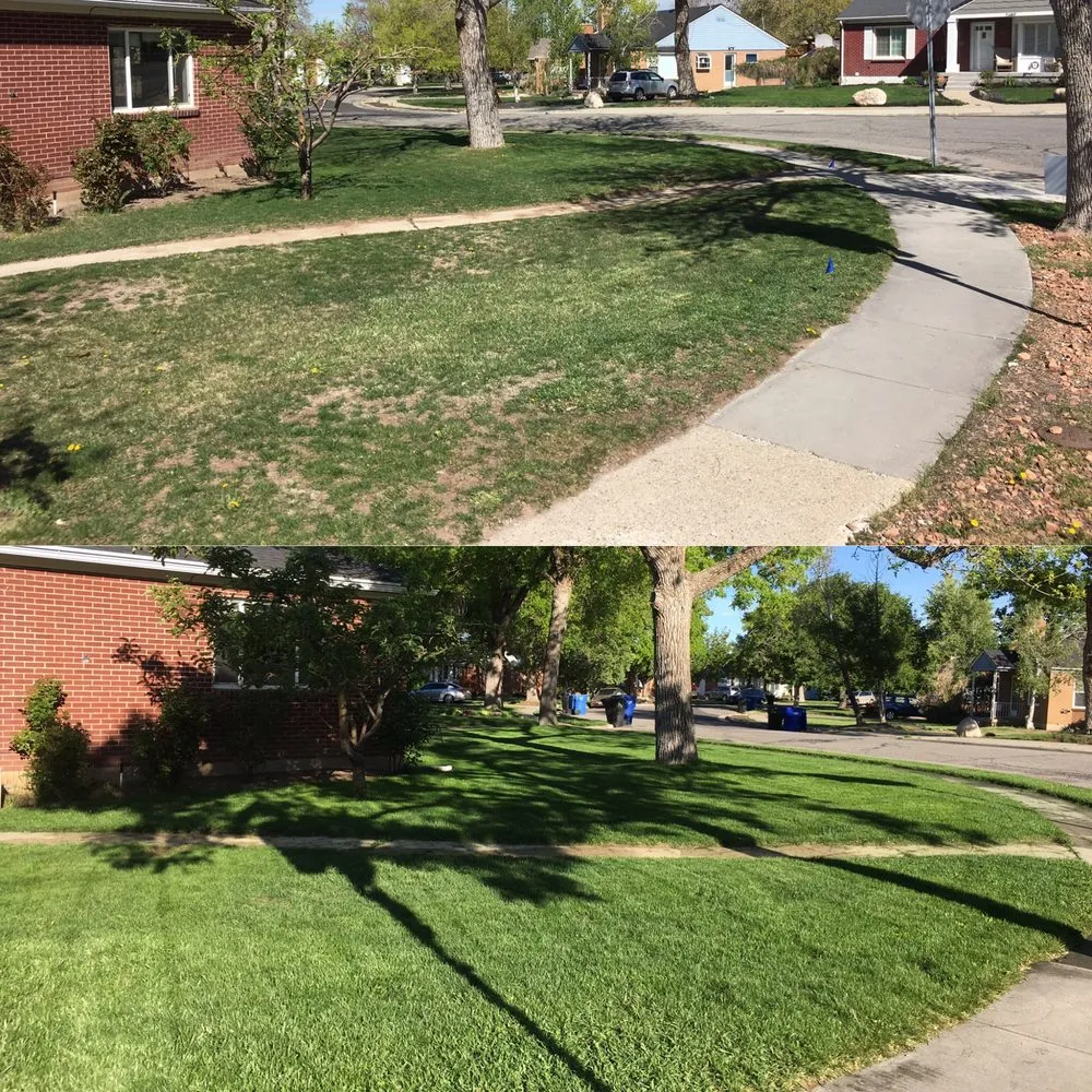 Local lawn care service in Salt Lake City, UT - Sky High Landscaping