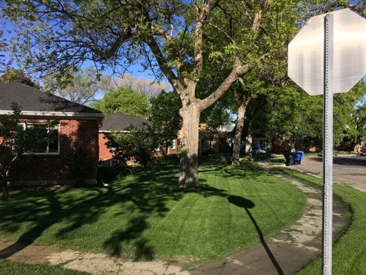 Sky High Landscaping Logo