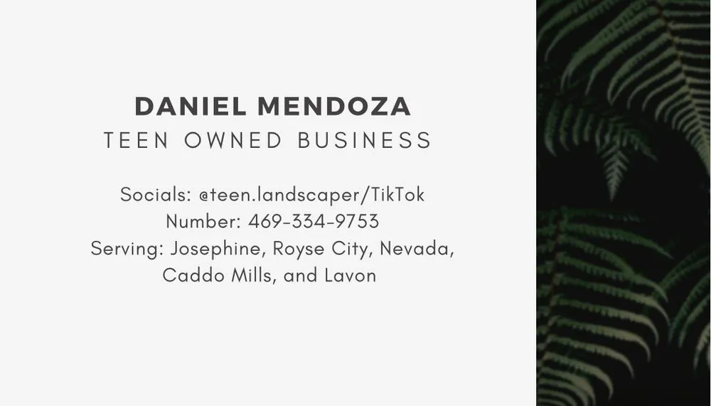 Professional landscaping services with custom design in Nevada, TX by Sky High Lawn Care