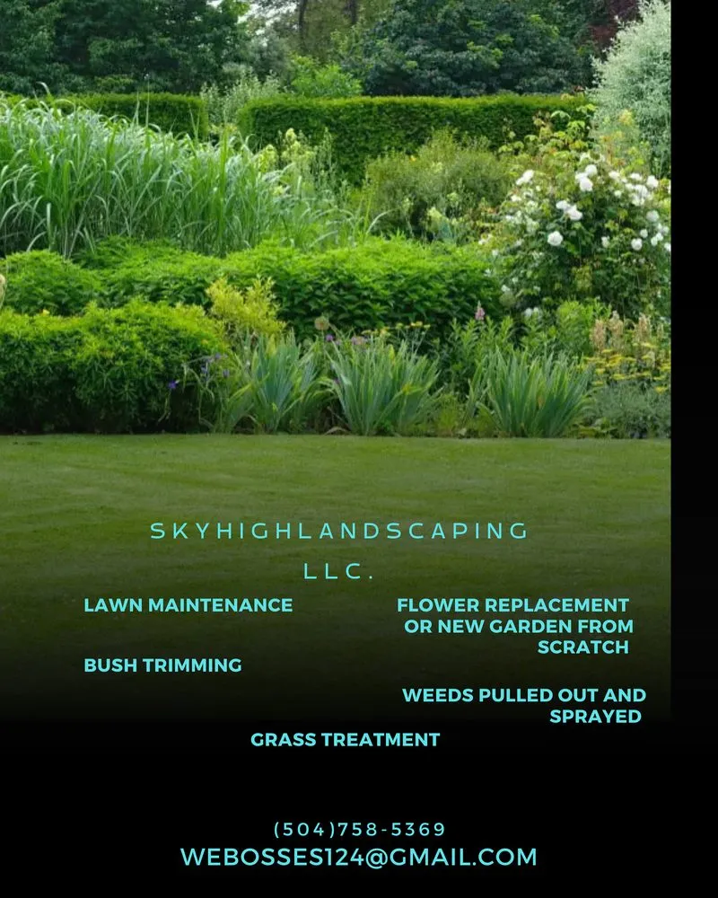 Local landscape design experts serving New Orleans, LA - Sky High Lawn Care