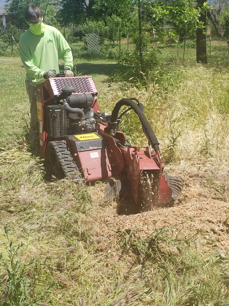 Local lawn care service in Mesa, AZ by Sky High Tree Care