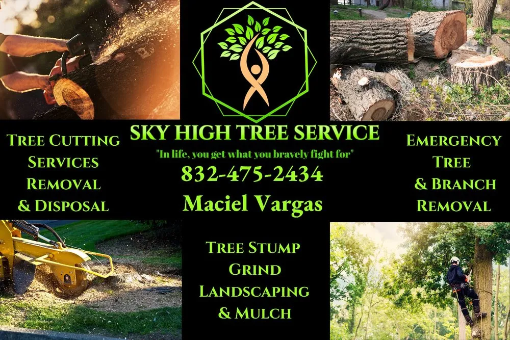 Affordable landscape installation in Conroe, TX - Sky High Tree Service