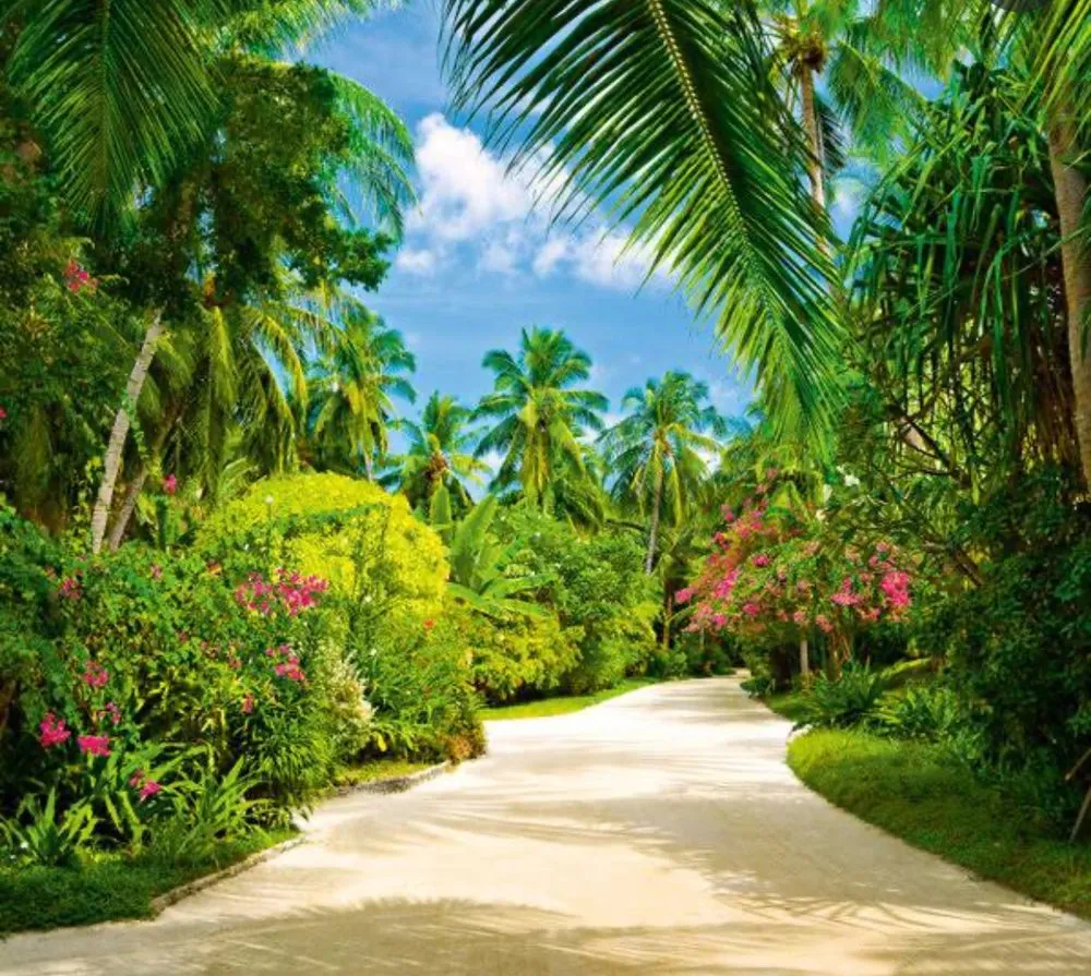 Top-rated yard maintenance for beautiful yards in Deerfield Beach, FL by Sky Interprise