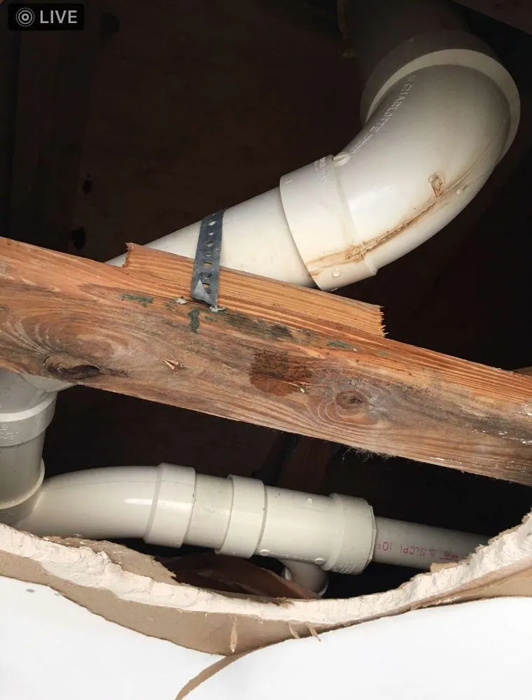 Trusted residential landscaping in Deerfield Beach, FL - Sky Interprise