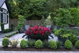 Expert lawn care service experts serving Seattle, WA - Sky Landscape