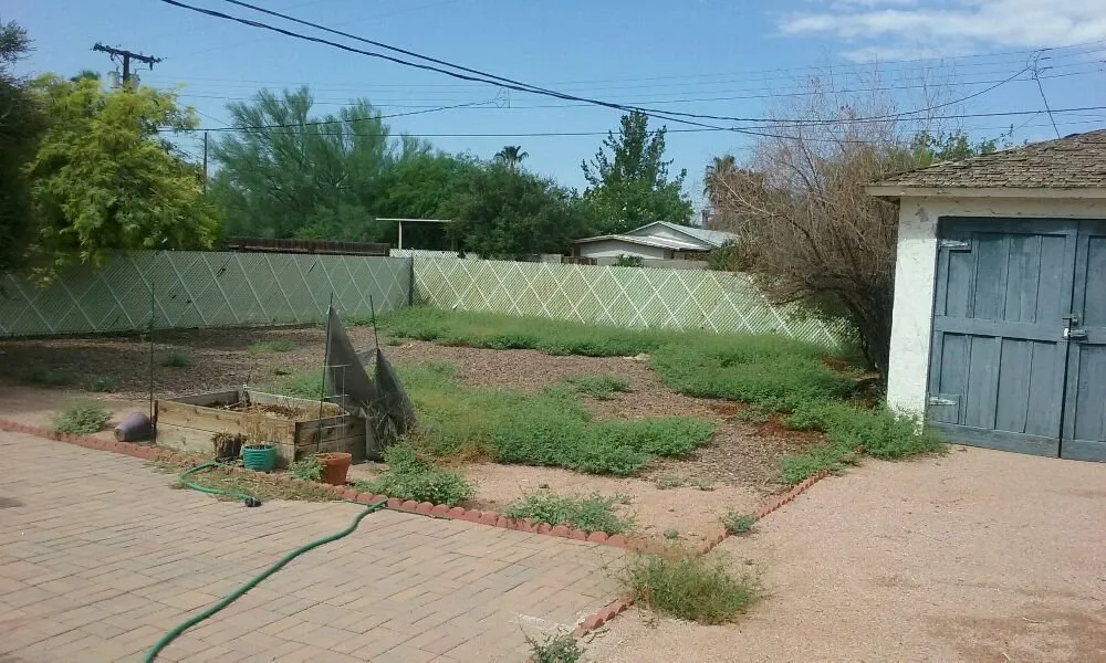Reliable yard cleanup service experts serving Surprise, AZ - Sky Level Landscape
