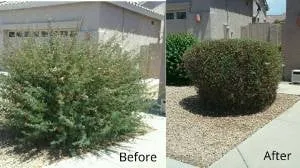 Custom landscape design for outdoor upgrades across Surprise, AZ - Sky Level Landscape