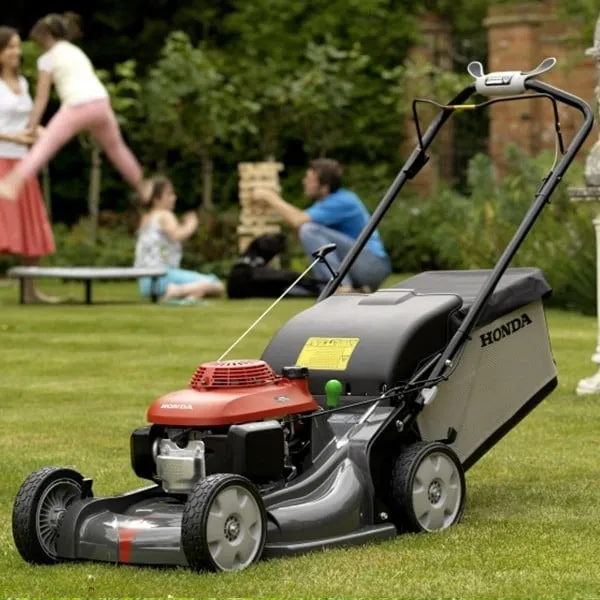 Top-rated yard cleanup service for year-round maintenance across Surprise, AZ - Sky Level Landscape