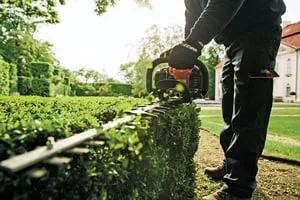 Local lawn mowing service for outdoor upgrades across Surprise, AZ - Sky Level Landscape