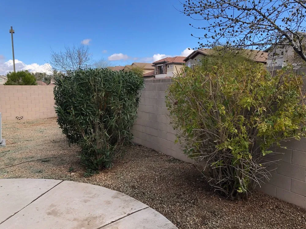 Professional yard cleanup service with custom design across Surprise, AZ - Sky Level Landscape