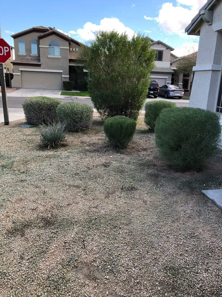 Affordable landscaping services in Surprise, AZ - Sky Level Landscape