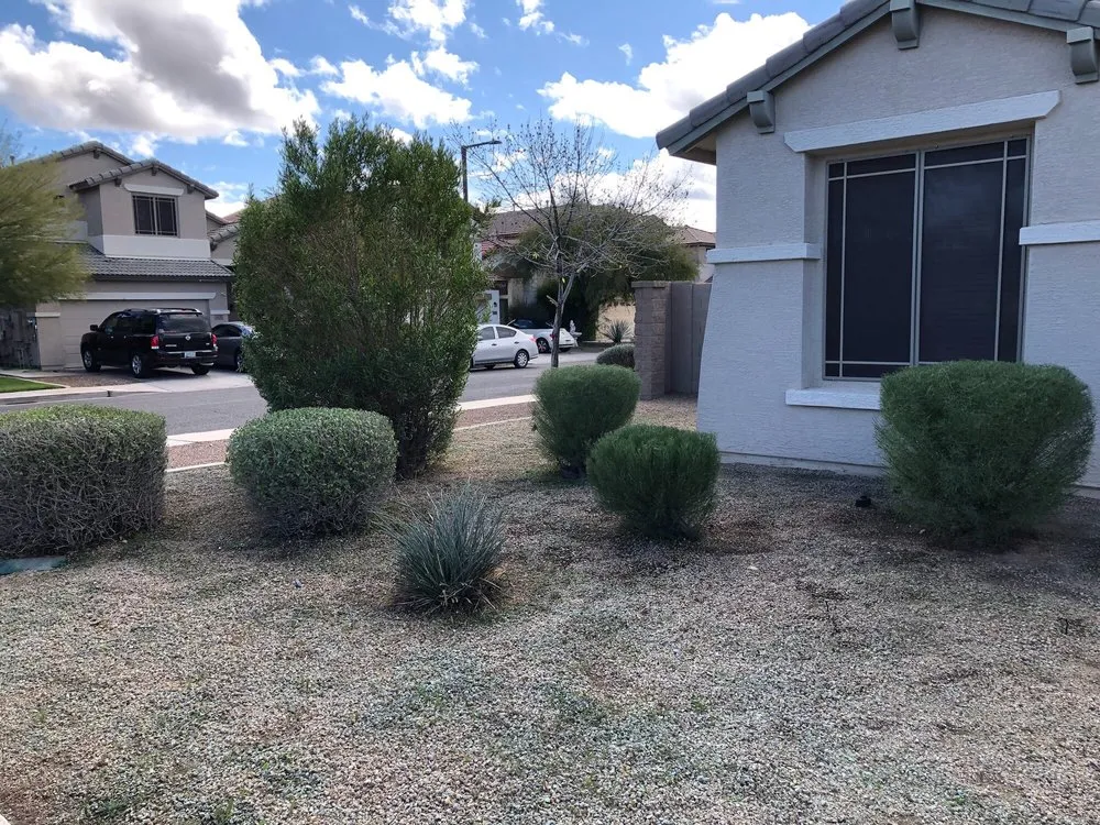Reliable lawn care service for residential properties across Surprise, AZ - Sky Level Landscape