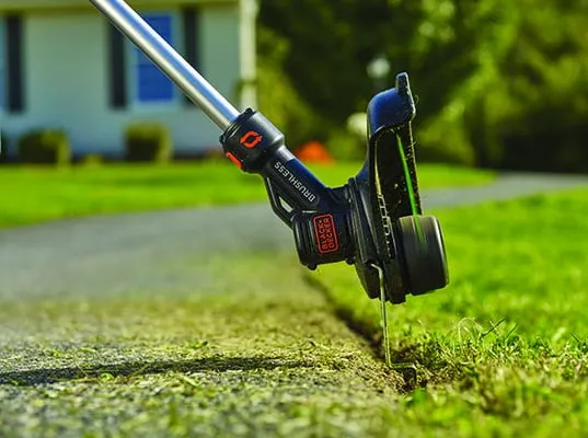 Sky Level Landscape Logo