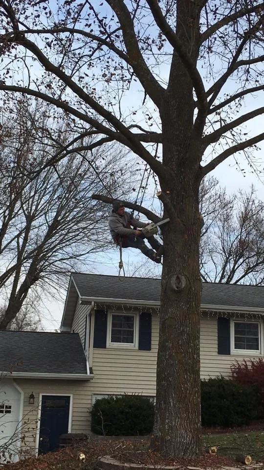 Expert residential landscaping near you in Chariton, IA by Sky Line Tree Experts