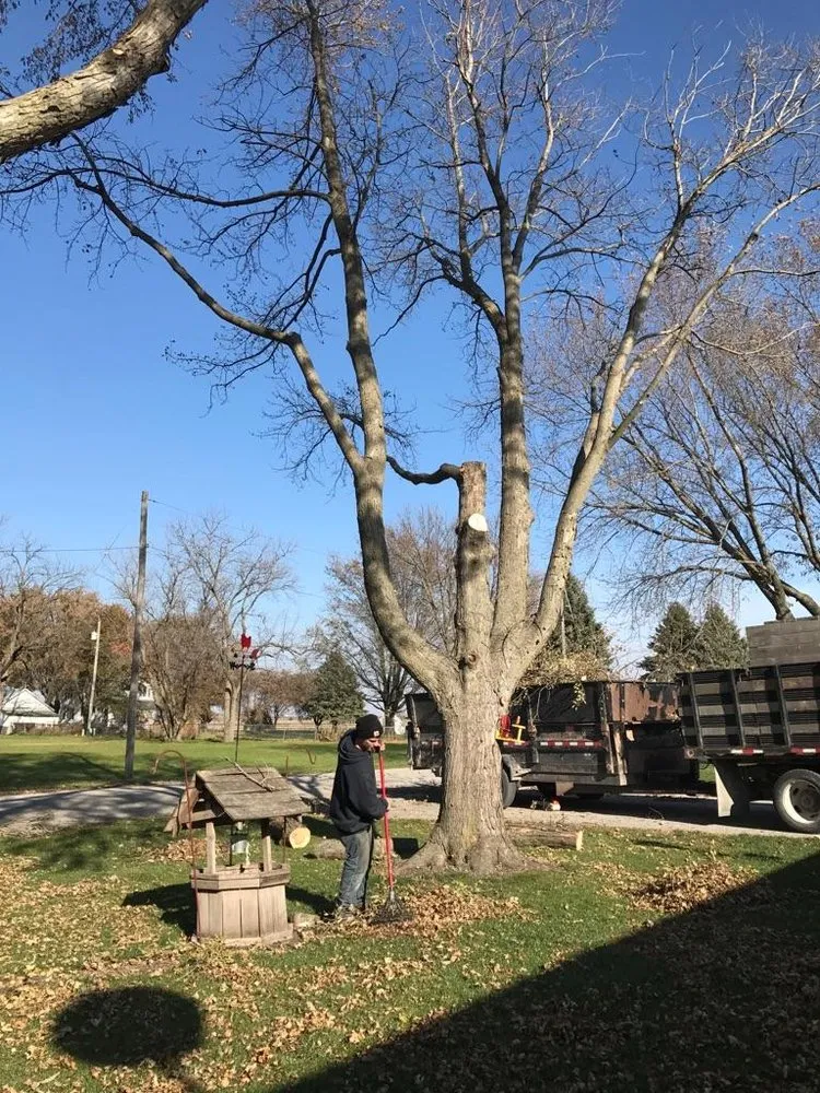 Top-rated landscaping services for residential properties in Chariton, IA by Sky Line Tree Experts