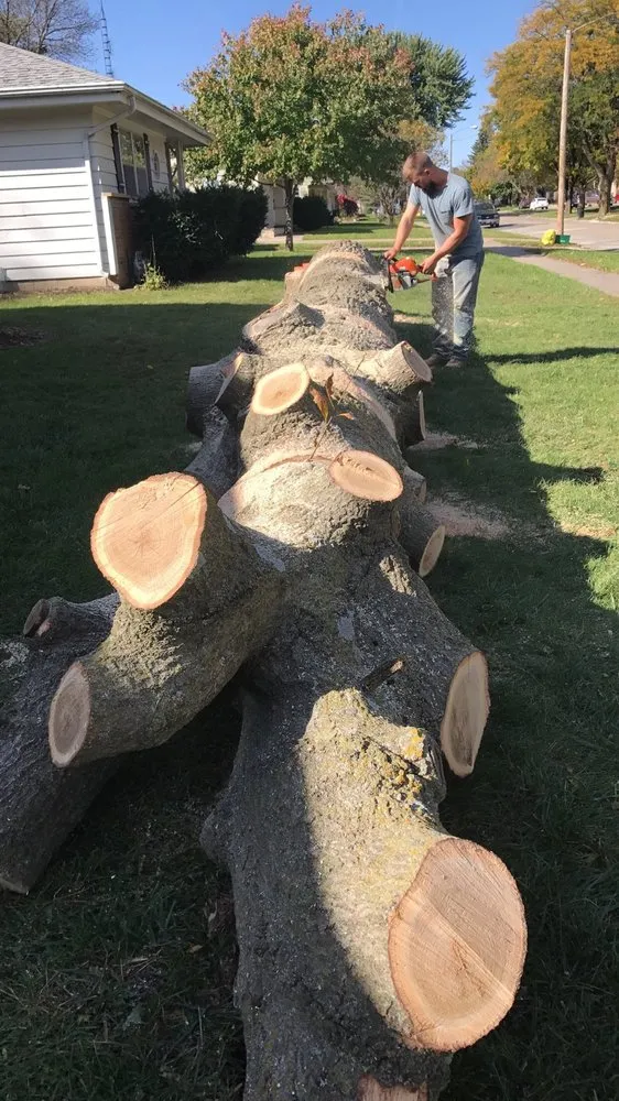 Expert outdoor landscaping for residential properties across Chariton, IA - Sky Line Tree Experts