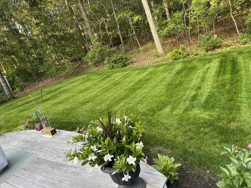 Expert lawn mowing service near you in South Dennis, MA by Sky Scraper Service