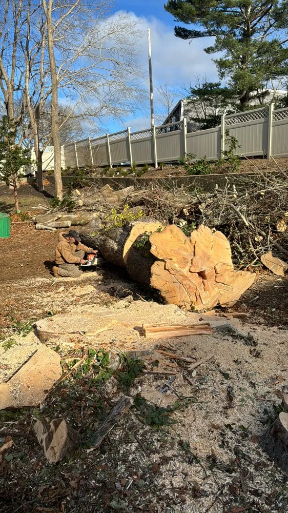 Trusted lawn care service experts serving South Dennis, MA - Sky Scraper Service